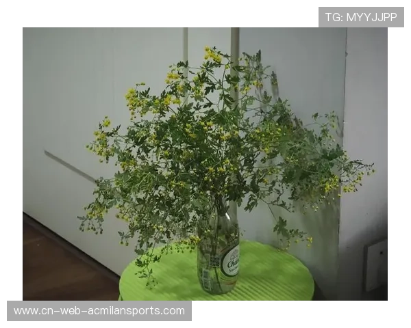 俱乐部与心理咨询机构合作为球员提供长期心理支持，俱乐部建议