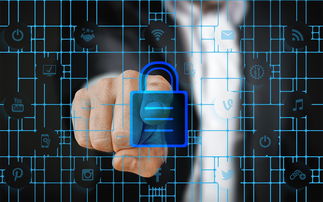 校园体育安全管理策略研究，校园体育安全管理策略研究报告